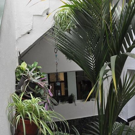Falow Las Palmas de Gran Canaria Bagian luar foto